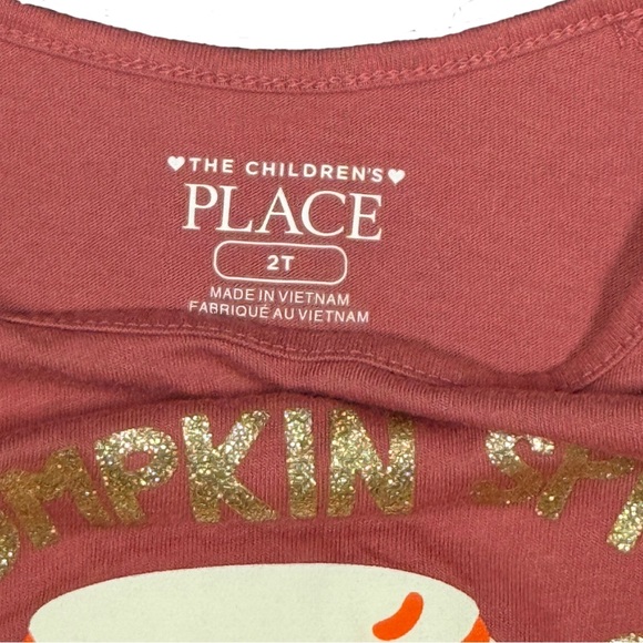 🍂 The Children’s Place Pumpkin Spice & Everything Nice Top & Leggings Set 2T - Picture 5 of 7